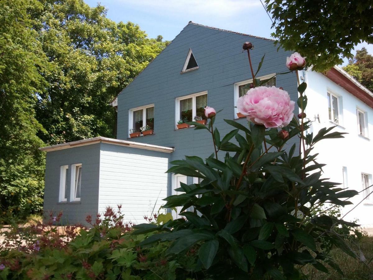 Отель Gasthof Blaues Haus Bastorf Экстерьер фото
